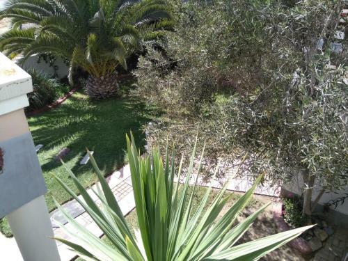 Bed & Breakfast Amarachi Guesthouse