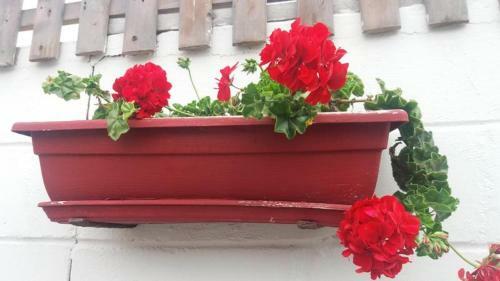 Bed & Breakfast Amarachi Guesthouse