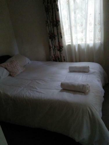 Mlima Kenya Holiday Homes