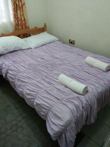 Mlima Kenya Holiday Homes