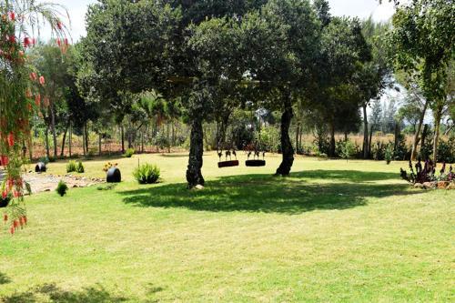 Ol Marei Home