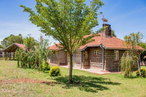 Ol Marei Home