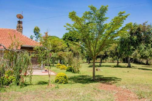 Ol Marei Home