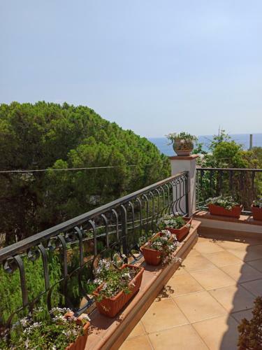 Hostal Velalatina Residence B&B Soverato - Camera Scirocco