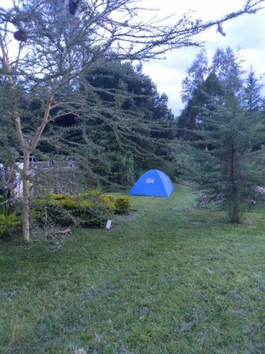 Mianzi Camp.