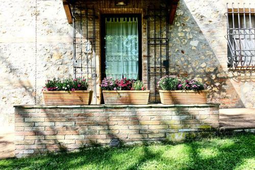 Apartamento Agriturismo Montioni