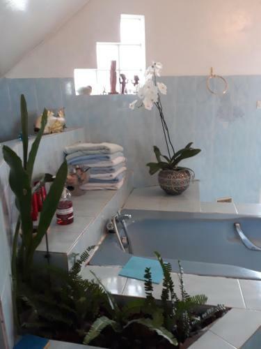 Bed & Breakfast Chambre Indienne Au Tampon