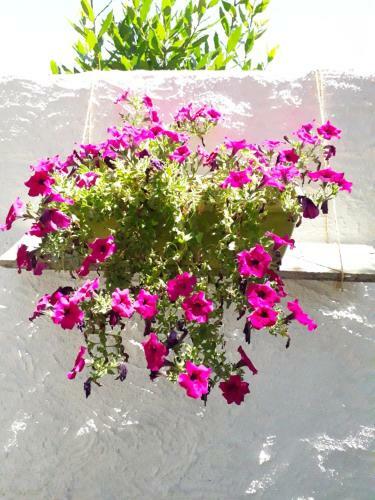 Bed & Breakfast I Limoni