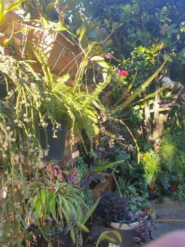 Apartamento Couleurs Des �les