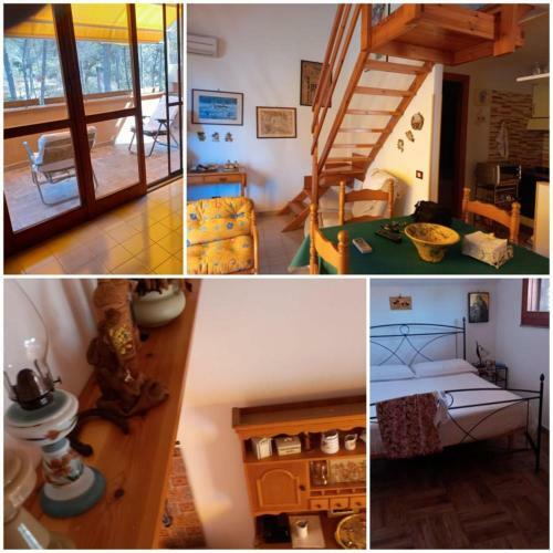 Apartamento Accogliente Appartamento