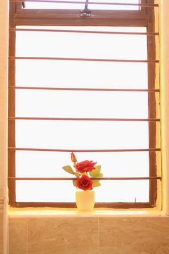 Apartamento Freshout Homestay