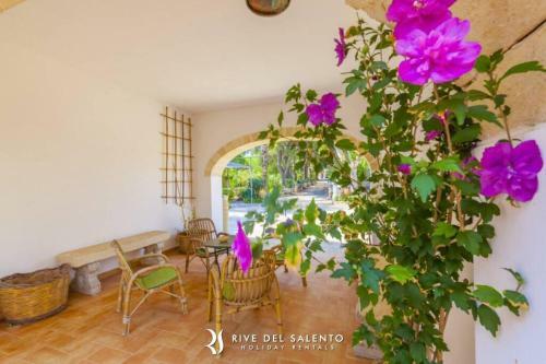 Apartamento Appartamento In Casale Con Piscina A Spongano