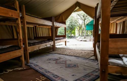 Hotel Punda Milias Nakuru Camp