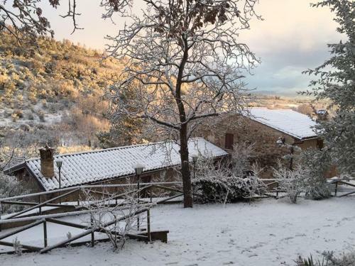 Agroturismo Il Renaiolo