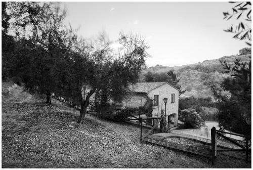 Agroturismo Il Renaiolo