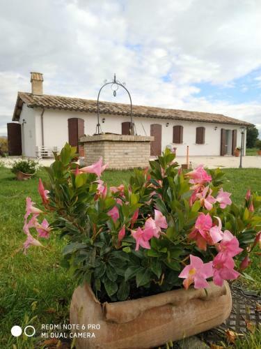 Agroturismo Agriturismo " Le Serre"