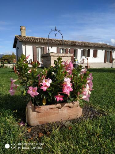 Agroturismo Agriturismo " Le Serre"