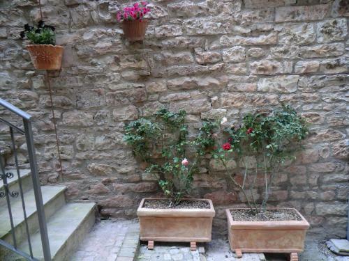 Hostal La Corta Di Spello Camere