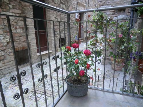 Hostal La Corta Di Spello Camere