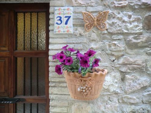 Hostal La Corta Di Spello Camere