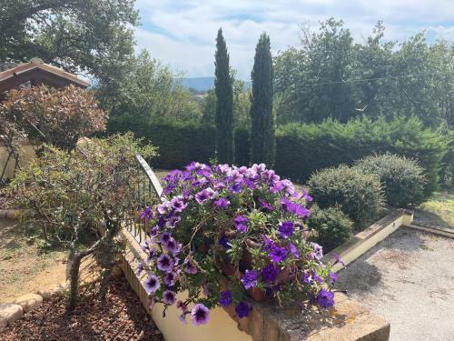 B&B Toncini Guesthouse