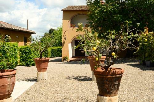 Le Case Del Conventino Di Marciano