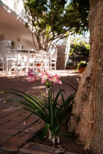 Hostal Rosahoff Guesthouse