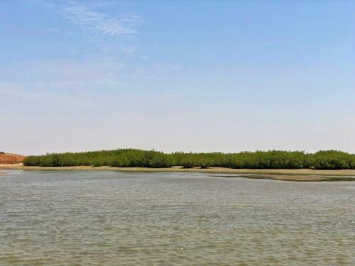 Albergue La Lagune Du Thiouraye