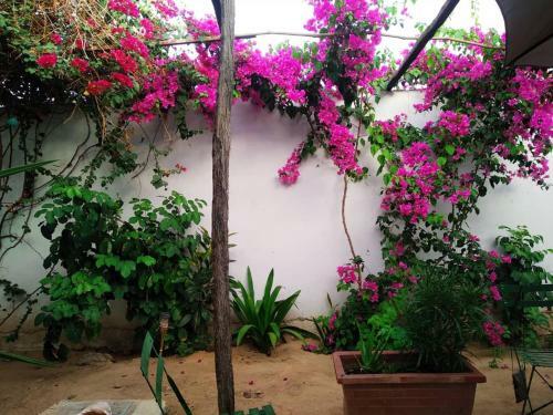 Hotel Can Teranga