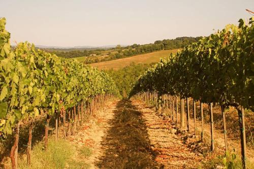 Apartamento Il Cantuccio Nel Chianti