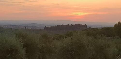 Apartamento Il Cantuccio Nel Chianti