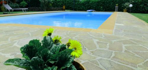 Apartamento Molino Delle Fate