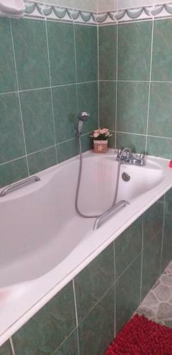 Apartamento Kijani Studio