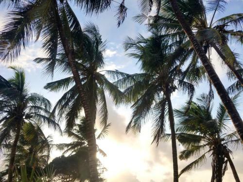 2 Bedroom Apartment Serena Beach