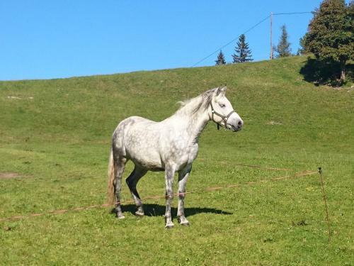 Agroturismo Bio-bauernhof Kurzeck