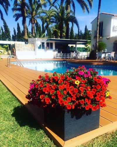 Apartamento Banus Lodge