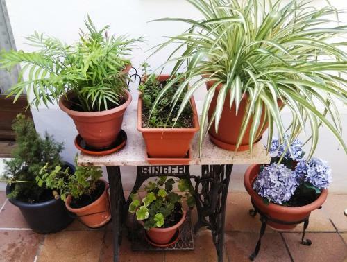 Bed & Breakfast Hostal La Ribera Del J�car