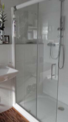 Apartamentos Ferienwohnung Am Park