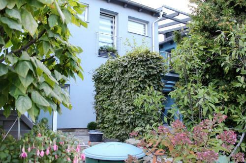 Apartamentos Ferienwohnung Am Park