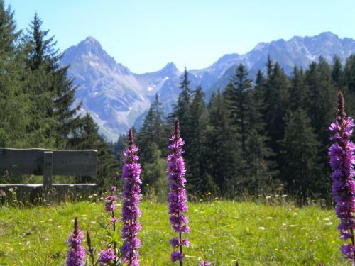 Hostal Hotel Garni Brigitte