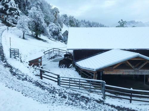 Hostal Hotel Garni Brigitte