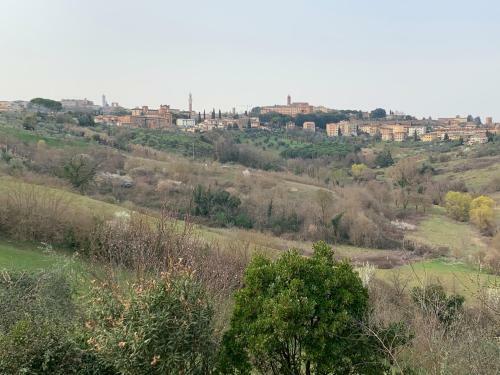 Apartamento Il Vezzosino
