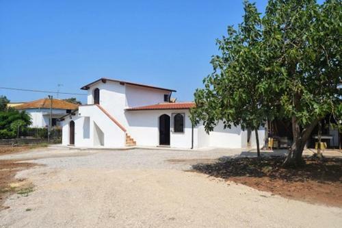 Bed & Breakfast Beastella Holiday Rooms