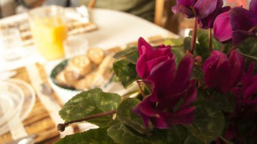 Apartamento Casavacanze Belvedere Sperlonga