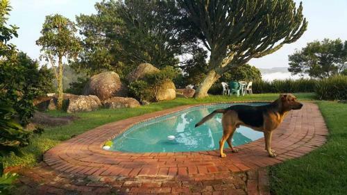 Hostal Cathmar Cottages