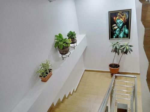 Maryland Shortlet Apartments, Gudu