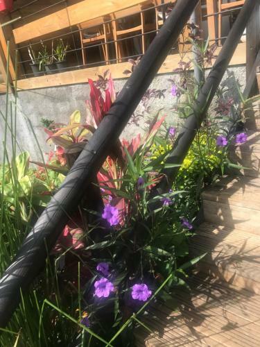 G�te Holidays Mon Repos