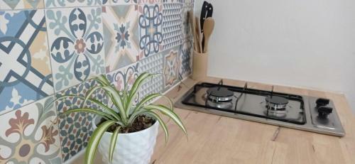 Apartamento Fleur De Passion