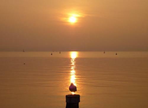 The Captain Apartment Sirmione