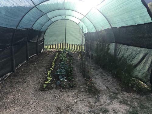 Agroturismo Colle Cornetto